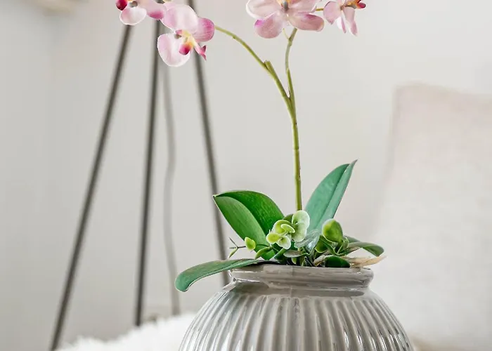 Noray 10 Lägenhet *